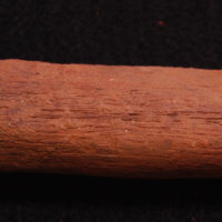 Burial 96. Right tibia with periostitis