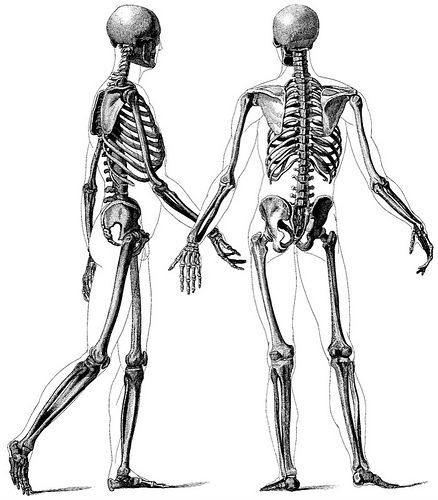 Two skeletons drawing.jpg
