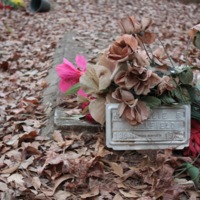 Brooklyn Cemetery Photo Gallery 45