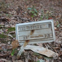 Brooklyn Cemetery Photo Gallery 2