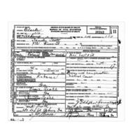 Sandy Scott Death Certificate