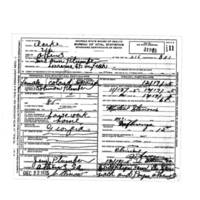 Ann Plummer Death Certificate