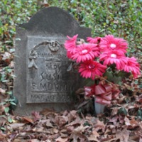 Brooklyn Cemetery Photo Gallery 16<br />
