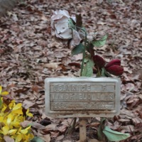 Brooklyn Cemetery Photo Gallery 47