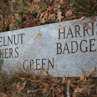 Brooklyn Cemetery Photo Gallery 11