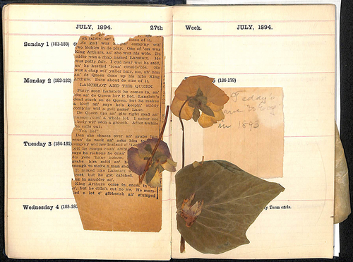 Rita Scherman 1894 dried flowers.jpg