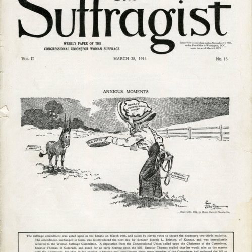 suffragist 28031914 - reduced size.jpg