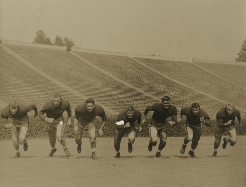 1939 Georgia Bulldogs football team